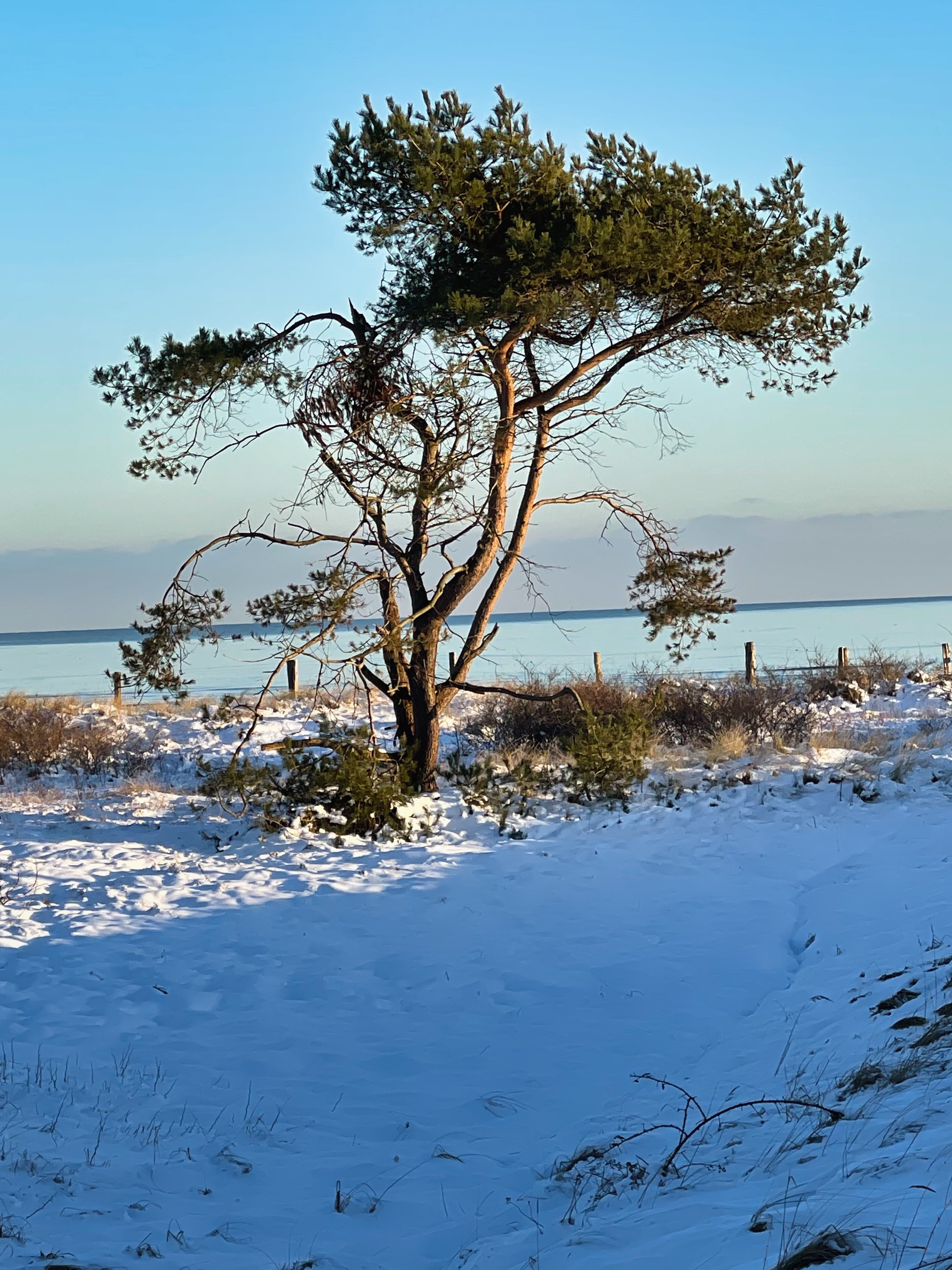 Grömitz Promenade im Winter