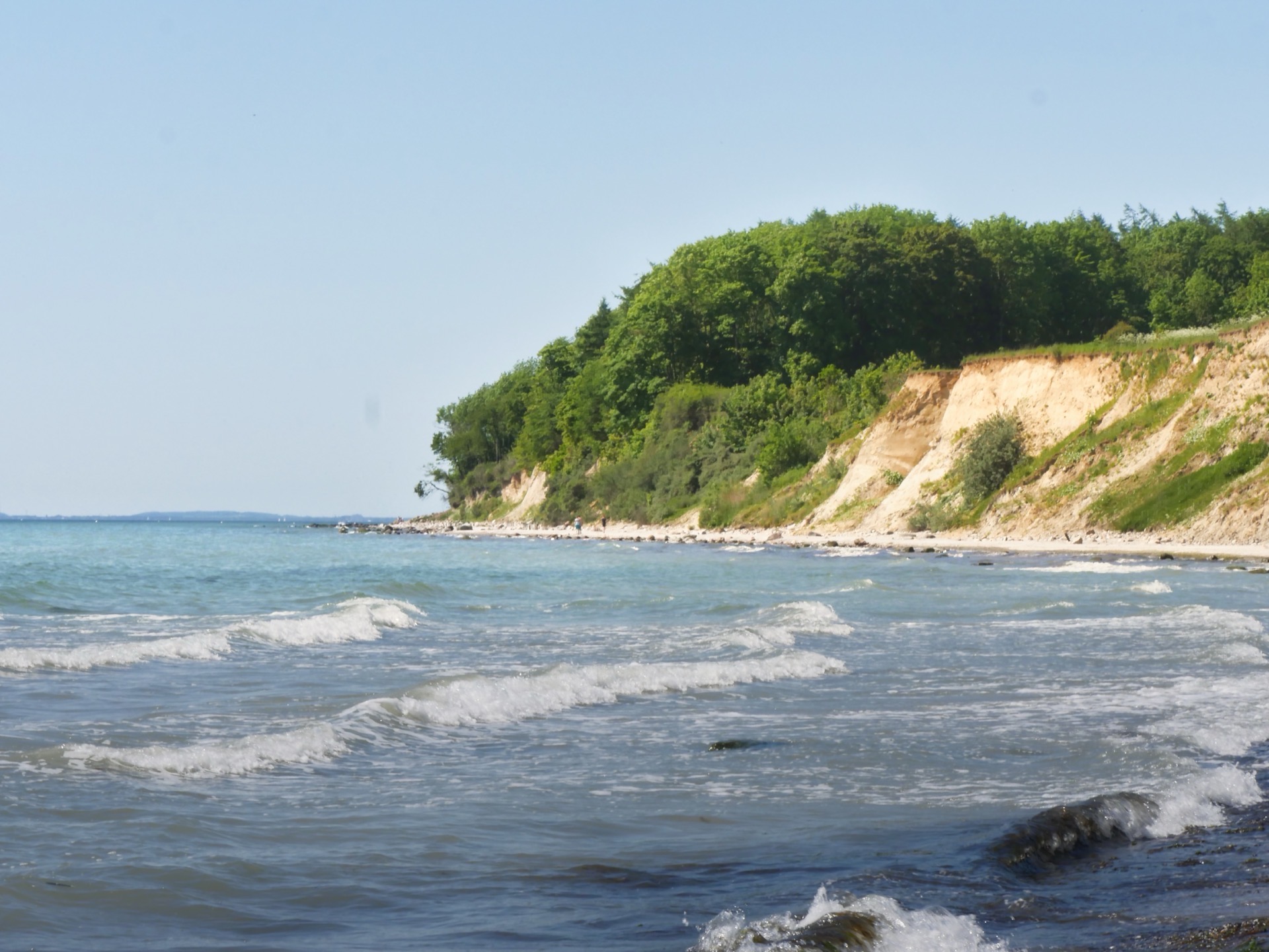 Naturbelassene Steilküste am Ostseestrand von Grömitz
